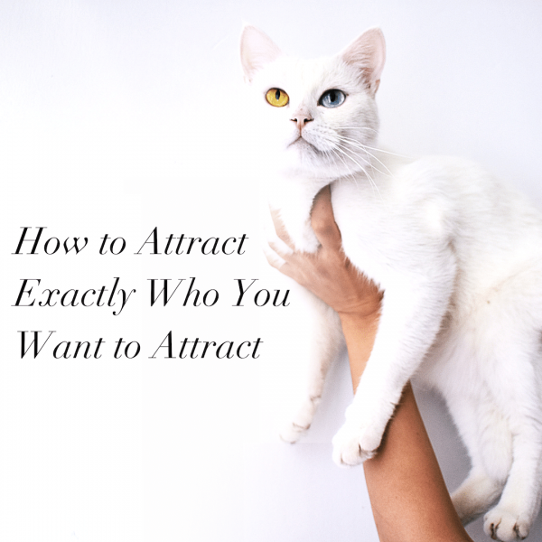 We're All Unique. How to Attract Exactly Who You Want to Attract