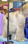 Backstage Beauty at Westminster Dog Show