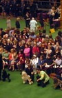 Backstage Beauty at Westminster Dog Show