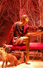 Christmas Windows Paris- Galeries Lafayette & Printemps