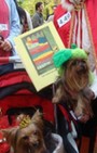 Halloween dog costumes for our furry fashionistas