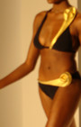 Gottex Swimwear