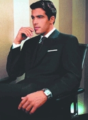 male model in suit