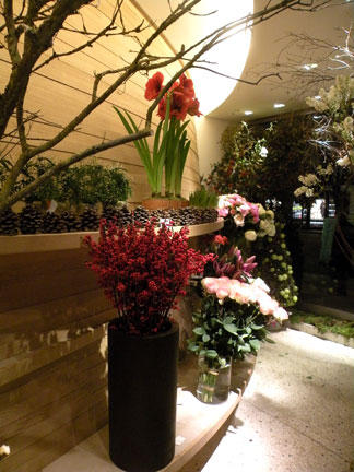 buoyant blooms by florist Baptiste Pitou