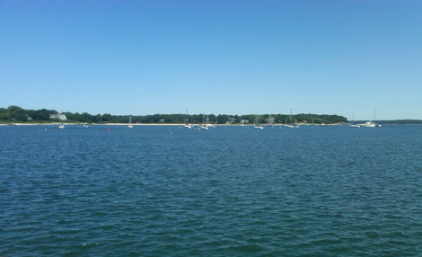 All that quiet water and so much action...