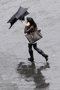 We've all been there- the cheapie street umbrella that caves in with every gust of wind.
