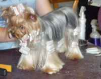 Baby, are those curlers?!